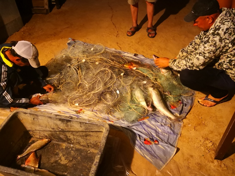 Der Fisch für morgen zappelt noch fangfrisch im Netz