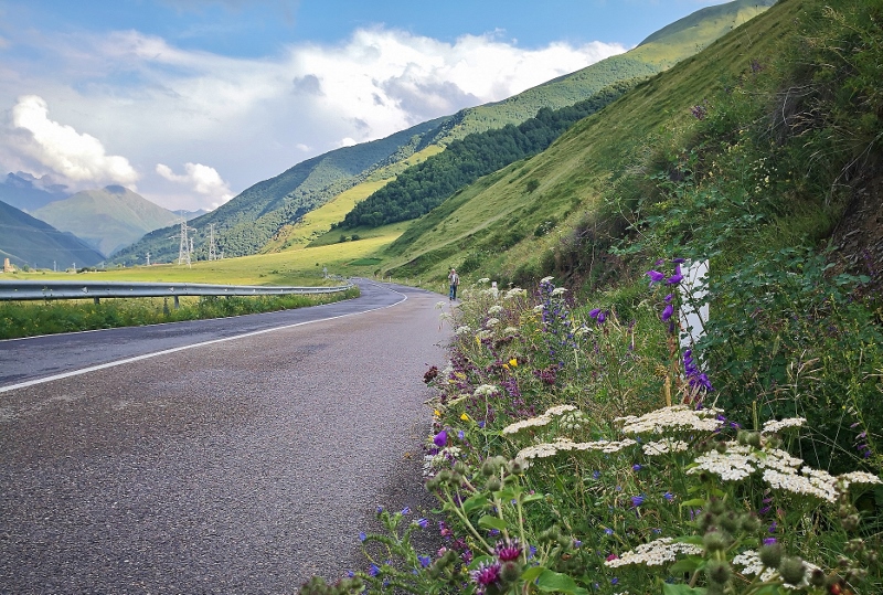 Üppiges Straßenbegleitgrün!