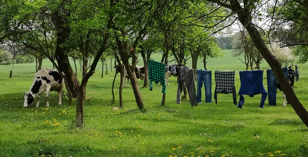 Impressionen Chlebow