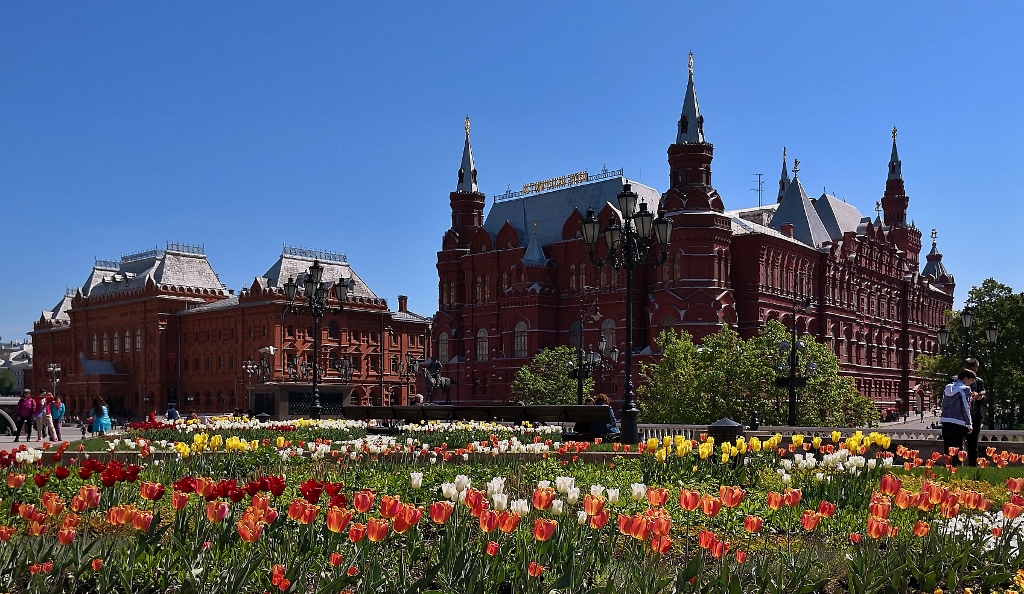 Das rote Rathaus in einem Meer von Tulpen