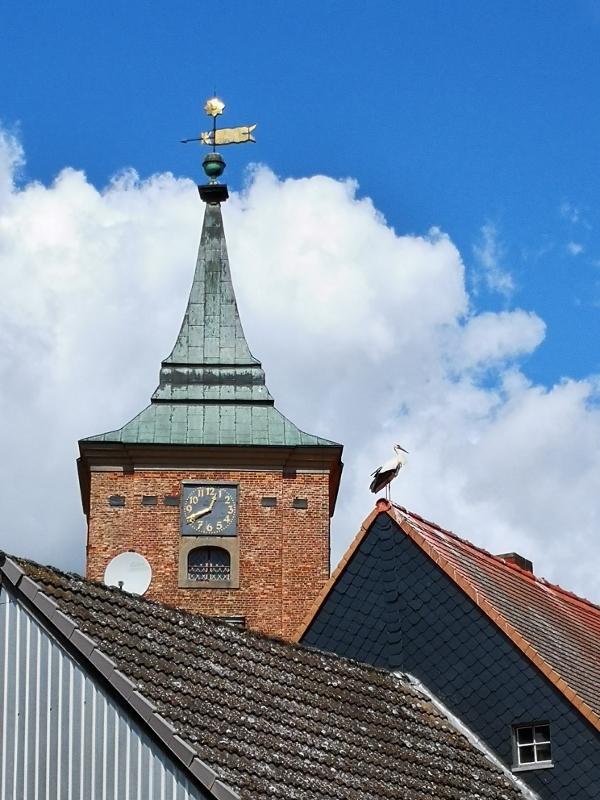 Vor dem Schloss Lenzen sehen wir schon das erste Storchennest