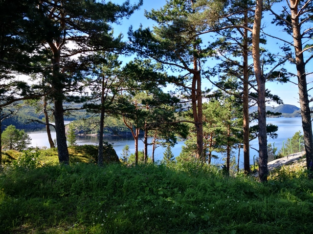 Wunderschöne Waldlandschaft an der 776