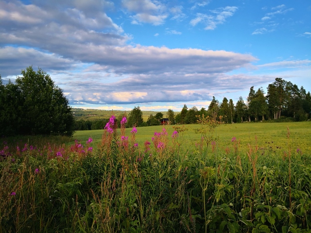 Es ist schön in Sölviken